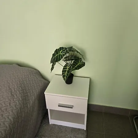 Hostel Transhostel Sweet Dream *