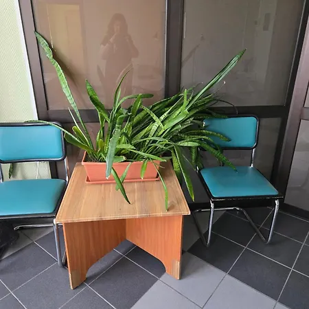 Hostel Transhostel Sweet Dream