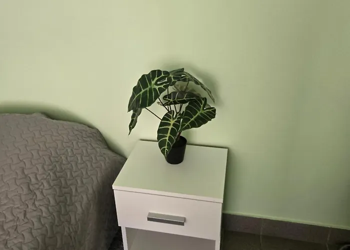 Hostel Transhostel Sweet Dream *